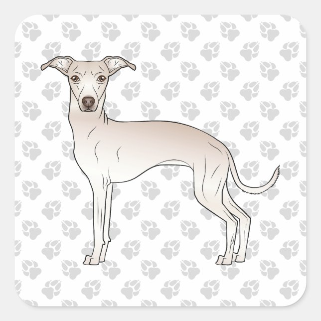 Italienischer Grauhund Niedlicher Kartoonhund mit  Quadratischer Aufkleber (Vorderseite)