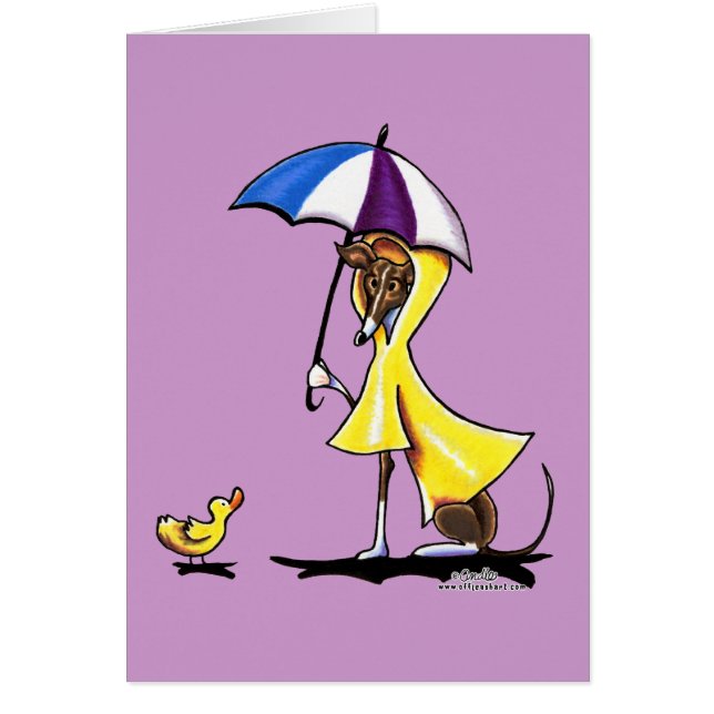 Italienischer Greyhound Raincoat (Vorne)