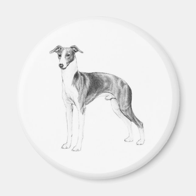 Italienischer Greyhound-Stil Magnet (Vorne)