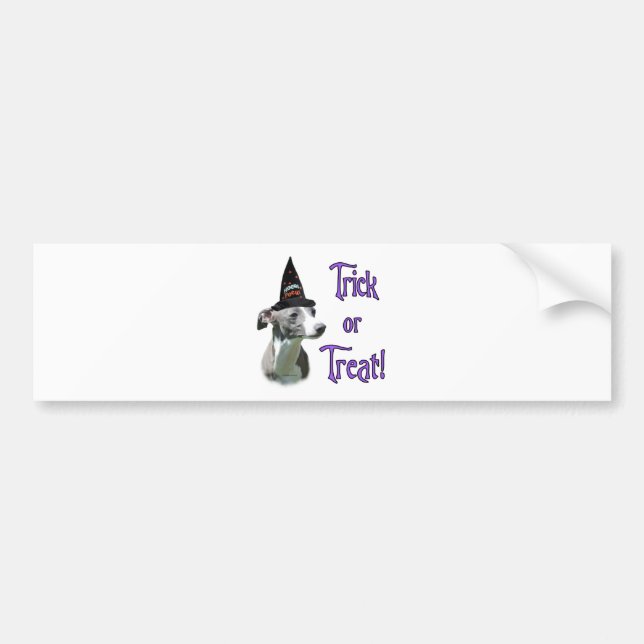Italienischer Greyhound Trick Autoaufkleber (Vorne)