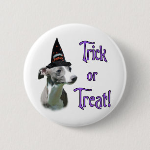 Italienischer Greyhound Trick Button