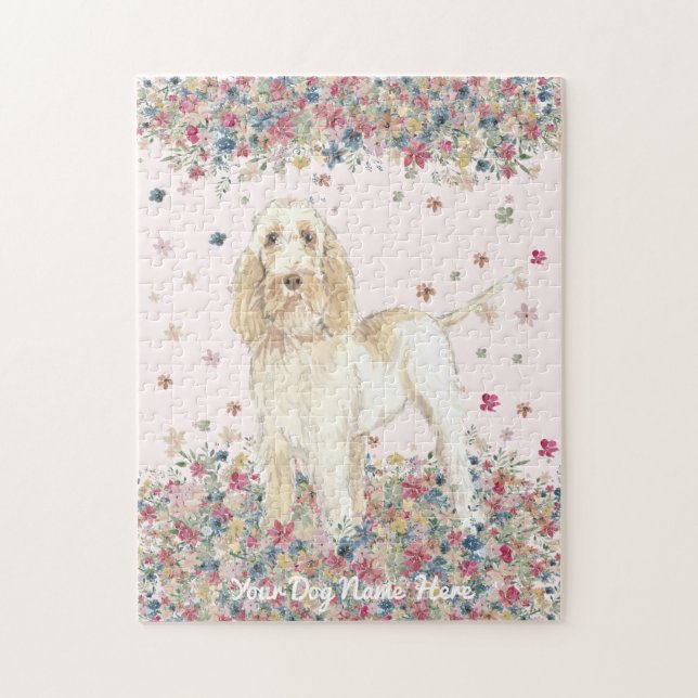 Italienischer Spinone (Vertikal)