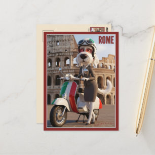 Italienischer Spinone Rom Postkarte