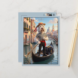 Italienischer Spinone Venedig Postkarte