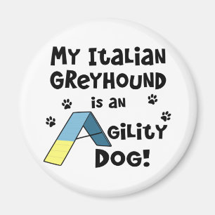 Italienischer Windhund-Agility-Hund Magnet