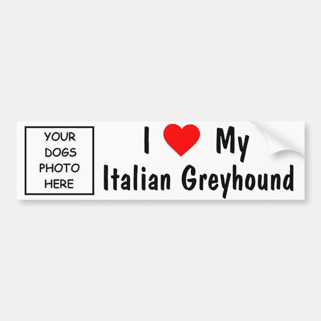 Italienischer Windhund Autoaufkleber (Vorne)