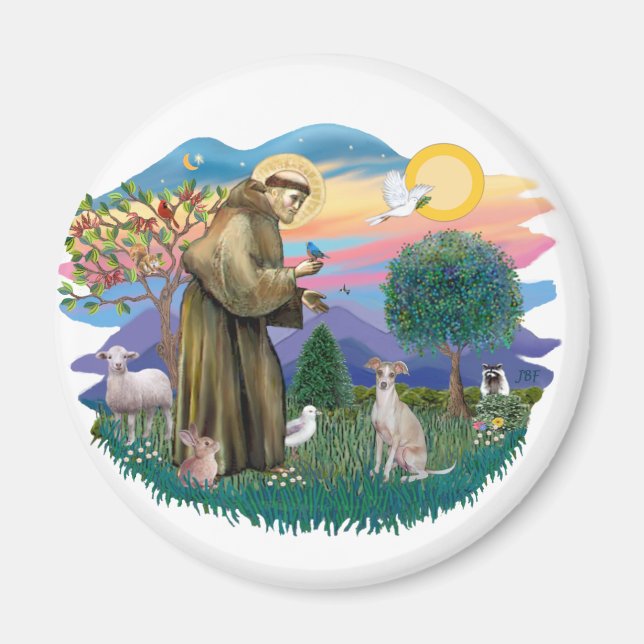 Italienischer Windhund (Creme) Magnet (Vorne)