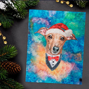 Italienischer Windhund-Hunderasse Weihnachten