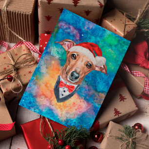 Italienischer Windhund-Hunderasse Weihnachten