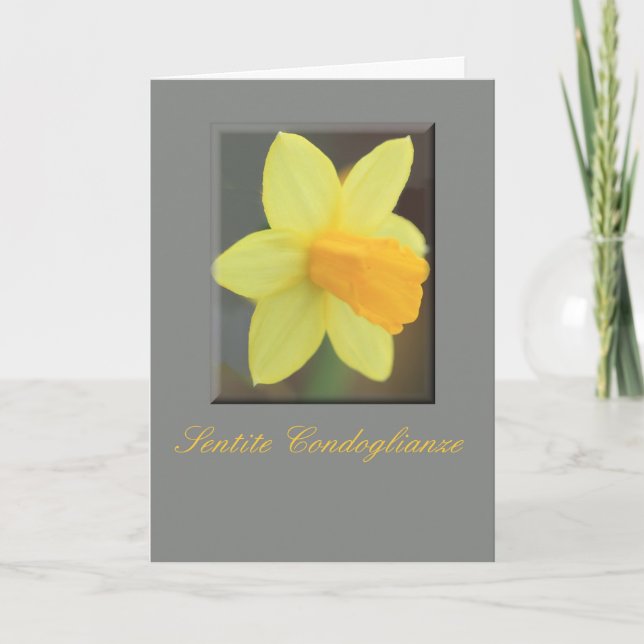 Italienisches Beileid Gelbe Daffodin Karte (Vorderseite)