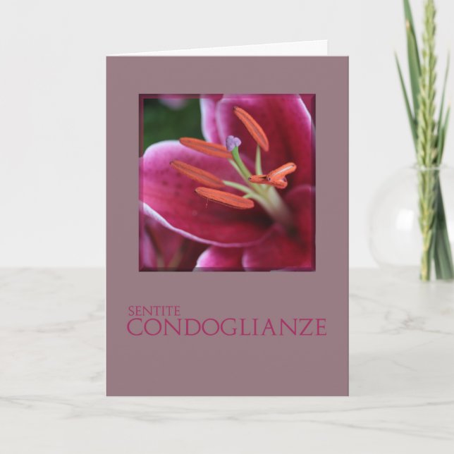 Italienisches Beileid Pink Lila Lily Karte (Vorderseite)