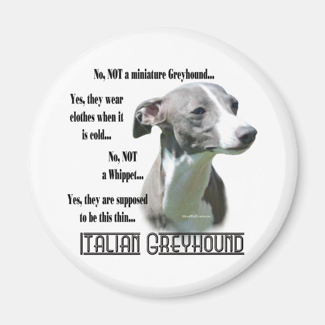 Italienisches Greyhound FAQ Magnet (Vorne)