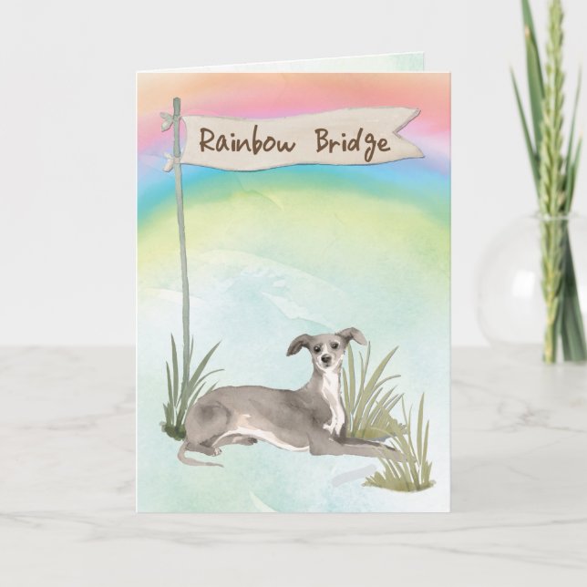 Italienisches Greyhound Pet Beileid über Rainbow B Karte (Vorderseite)