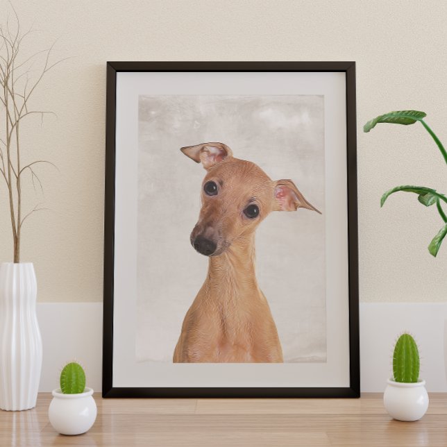 Italienisches Greyhound Poster (Von Creator hochgeladen)