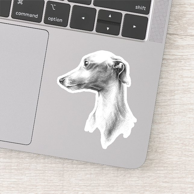 Italienisches Greyhound Whippet Hundportrait zeich Aufkleber (Detail)