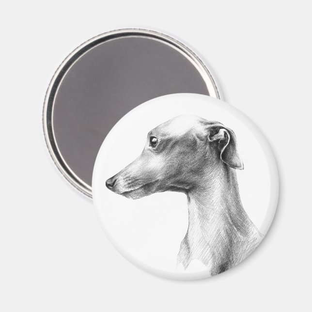 Italienisches Greyhound Whippet Hundportrait zeich Magnet (Vorderseite/Rückseite)