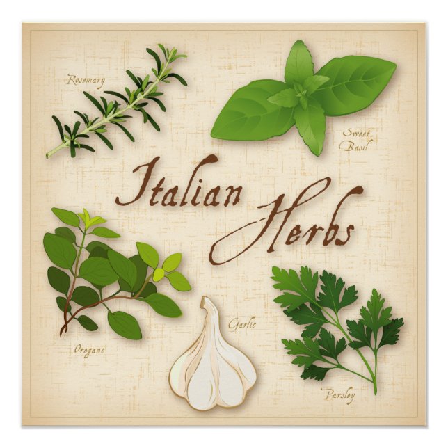 Italienisches Kräuterposter Poster (Vorderseite)
