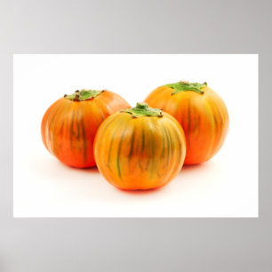 Italienisches Rotauge Poster