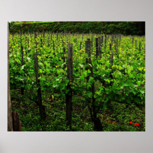 ITALIENISCHES WEINBERG-PLAKAT POSTER