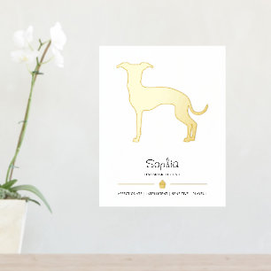 Italienisches Windhund-Silhouette mit einer Pfote  Foliendrucke