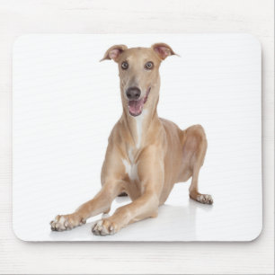 Italienisches Windhund-Welpen-Mauspad Mousepad