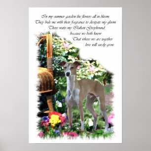 Italienisches Windspiel Kunstprint Poster