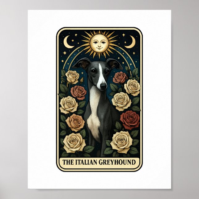Italienisches Windspiel Poster (Vorne)