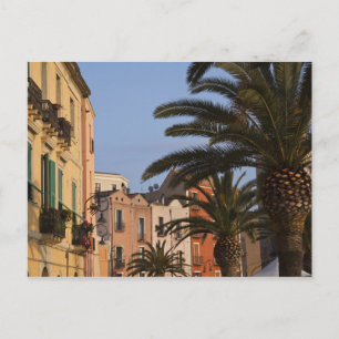 Italy, Sardinia, Cagliari. Buildings and palms Postkarte