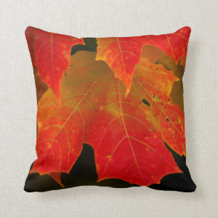 Itasca Staat Park, Herbstfarben 2 Kissen