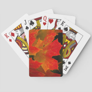 Itasca Staat Park, Herbstfarben 2 Spielkarten