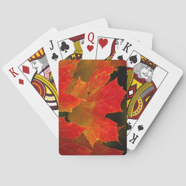 Itasca Staat Park, Herbstfarben 2 Spielkarten (Rückseite)