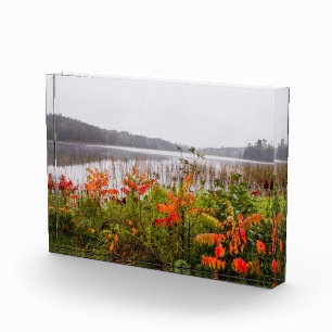 Itasca Staat Park Minnesota Fotoblock