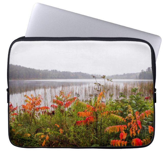 Itasca Staat Park | Minnesota Laptopschutzhülle (Vorderseite)