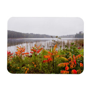 Itasca Staat Park   Minnesota Magnet