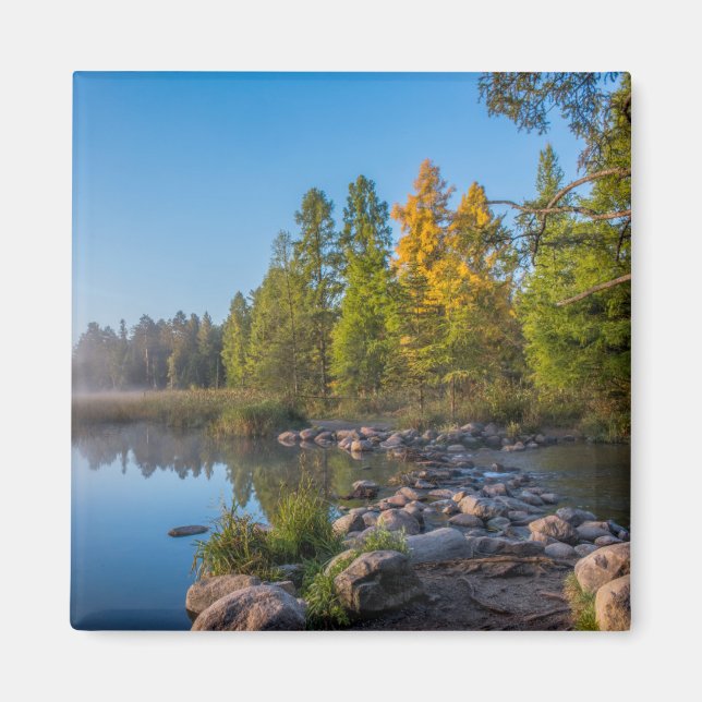 Itasca Staat Park, Minnesota Magnet (Vorne)