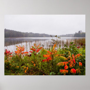 Itasca Staat Park   Minnesota Poster