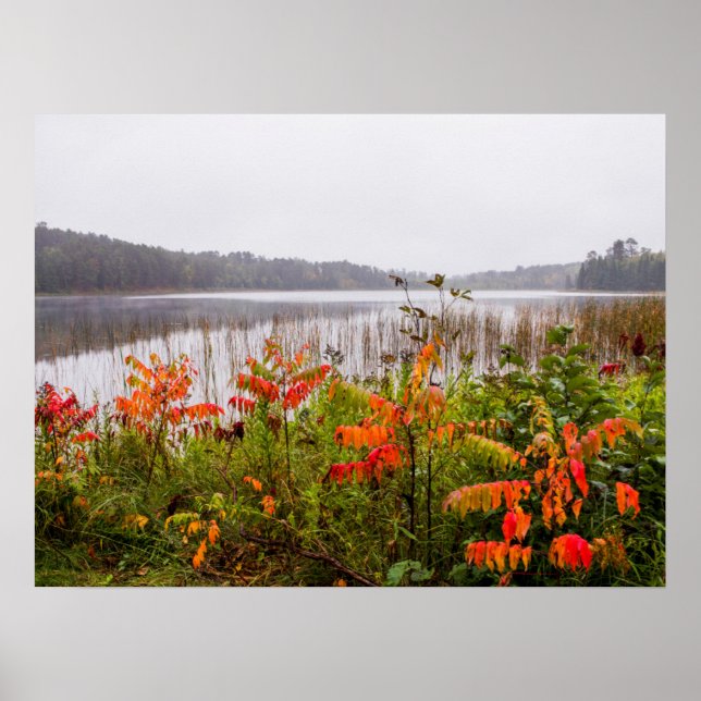 Itasca Staat Park | Minnesota Poster (Vorne)