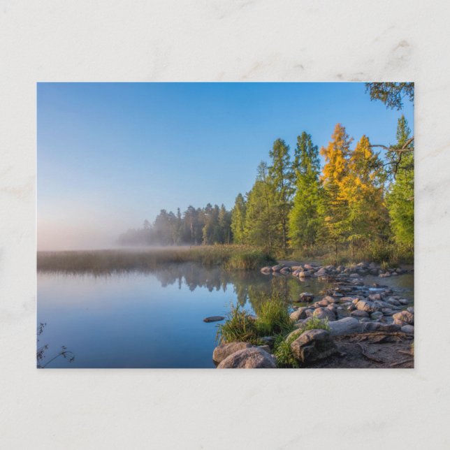 Itasca Staat Park, Minnesota Postkarte (Vorderseite)