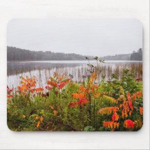Itasca State Park Minnesota Mousepad