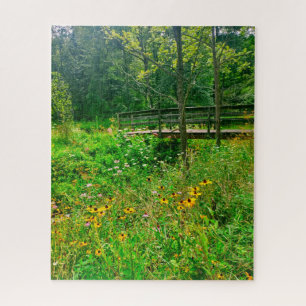 ITHACA NEW YORK NATURRESERVE