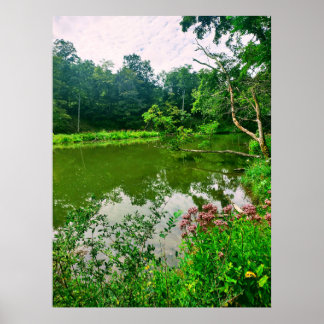 ITHACA NEW YORK NATURRESERVE POSTER