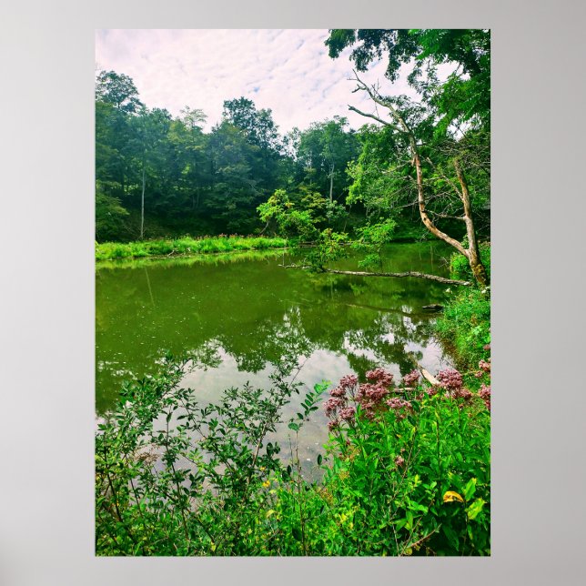 ITHACA NEW YORK NATURRESERVE POSTER (Vorne)