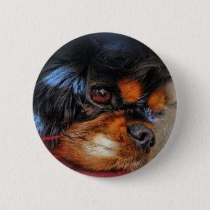 ITIS EIN HARTES LEBEN ....... BUTTON