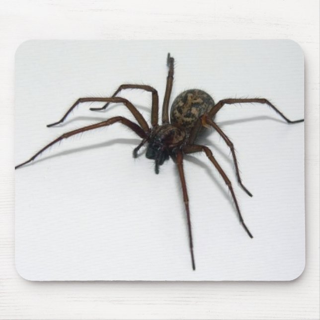 Itsy Bitsy Mousepad (Vorne)