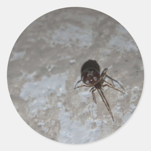 Itsy Bitsy Spider #3 Runder Aufkleber (Vorderseite)