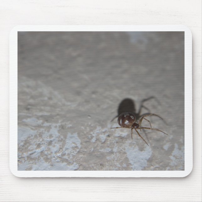 Itsy Bitsy Spider Mousepad (Vorne)