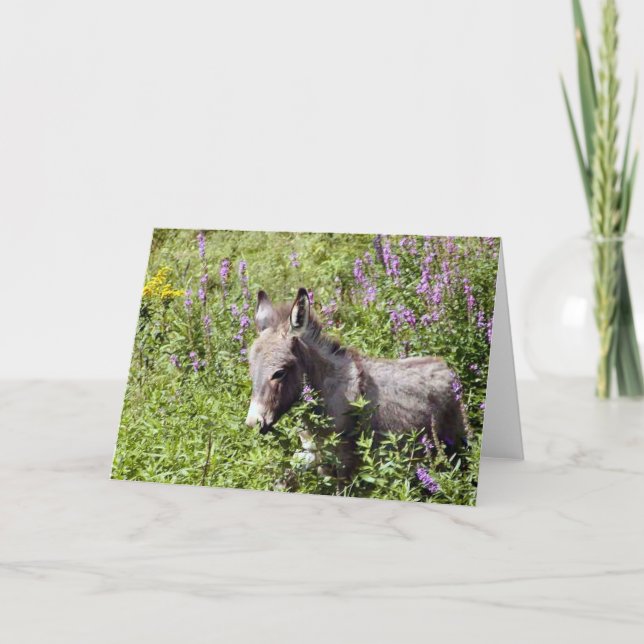 Itsy Karte (Vorderseite)