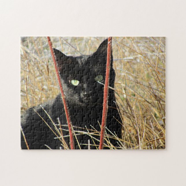 Ive, das gerahmt gewesen wird oder, addieren Ihr (Horizontal)