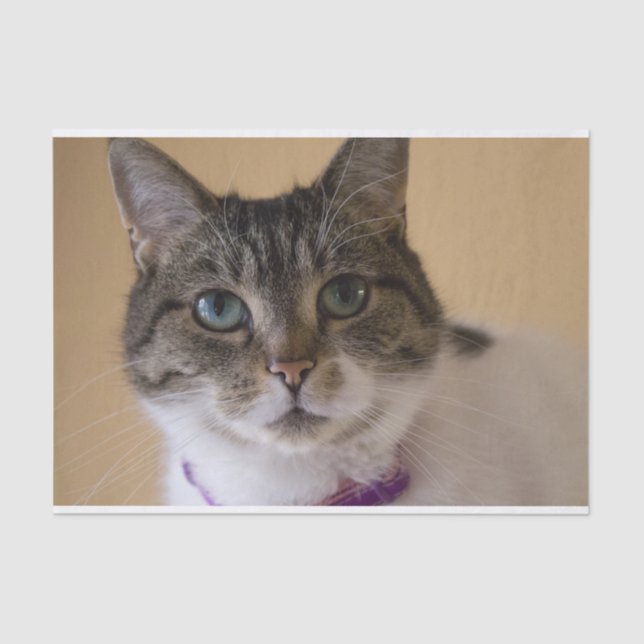 Ivey Seidenpapier (Vorderseite)