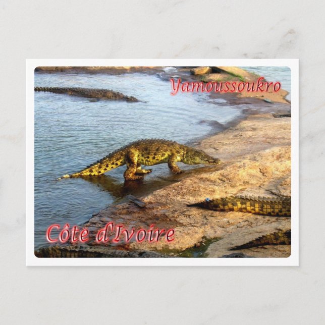 Ivory Coast - Yamoussoukro - Postkarte (Vorderseite)